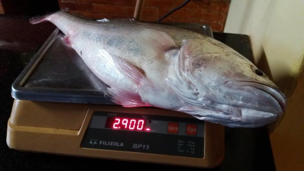 ホテル Associacao Sabesp Cardoso - Sp エクステリア 写真