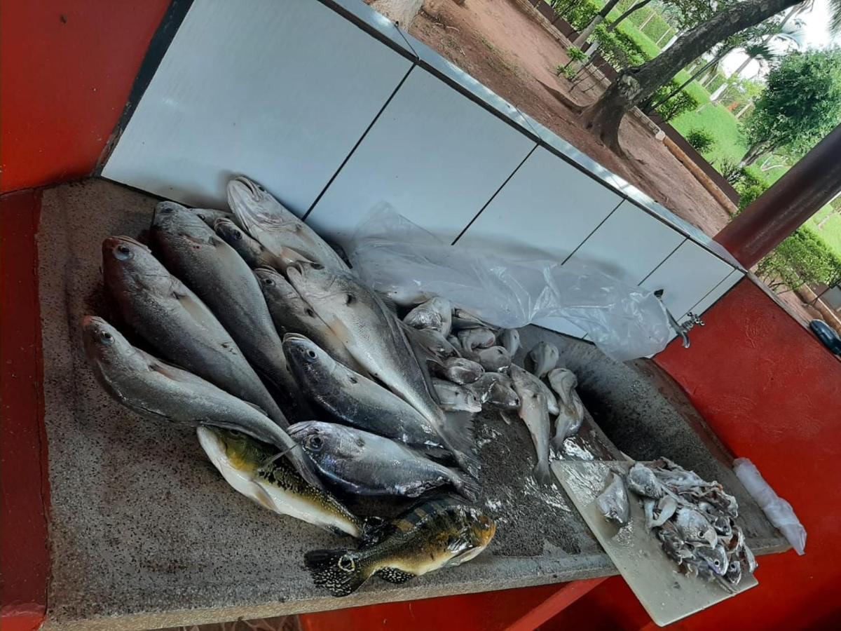ホテル Associacao Sabesp Cardoso - Sp エクステリア 写真